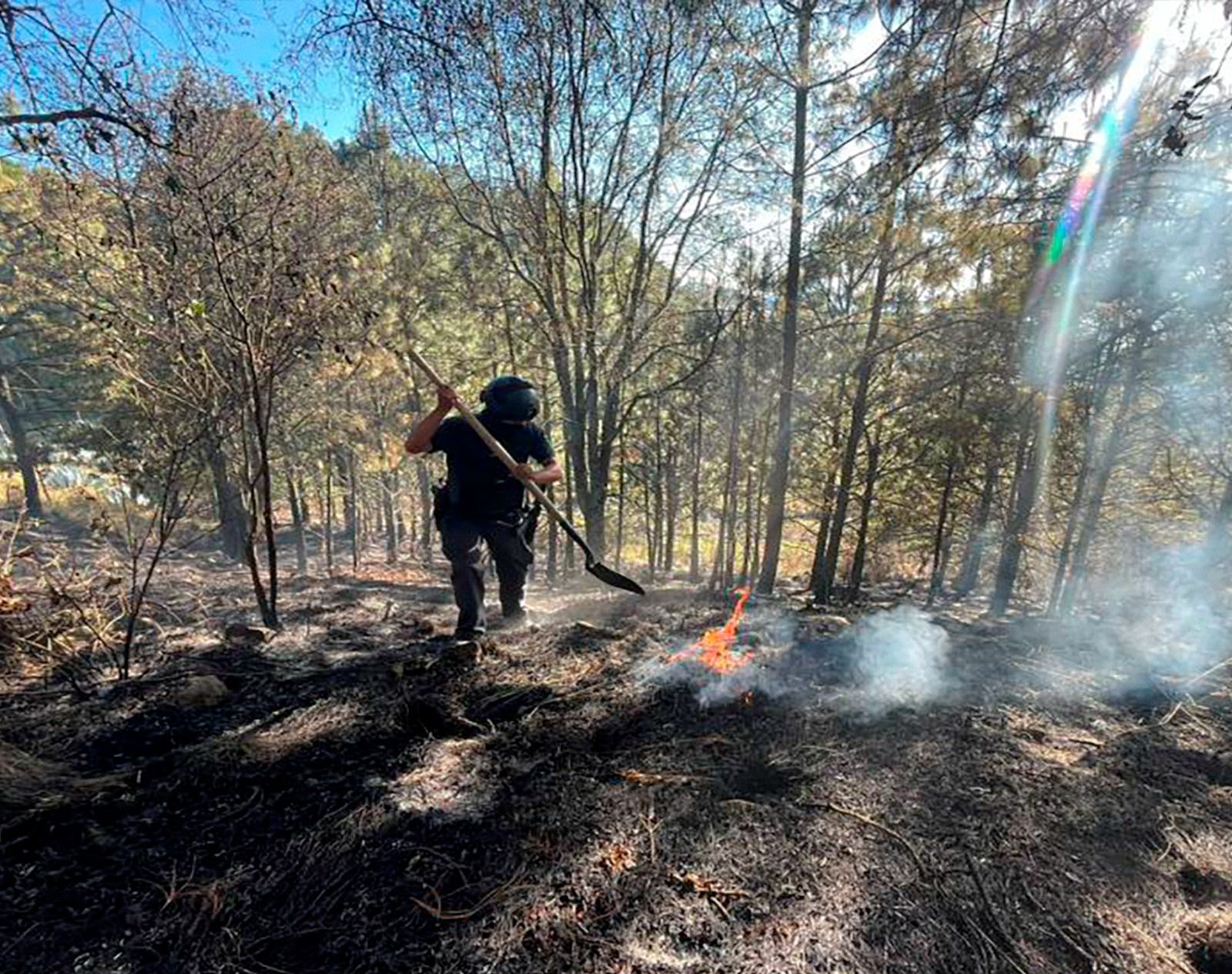 Fortalece Seguridad Pública protección y combate a delitos ambientales 