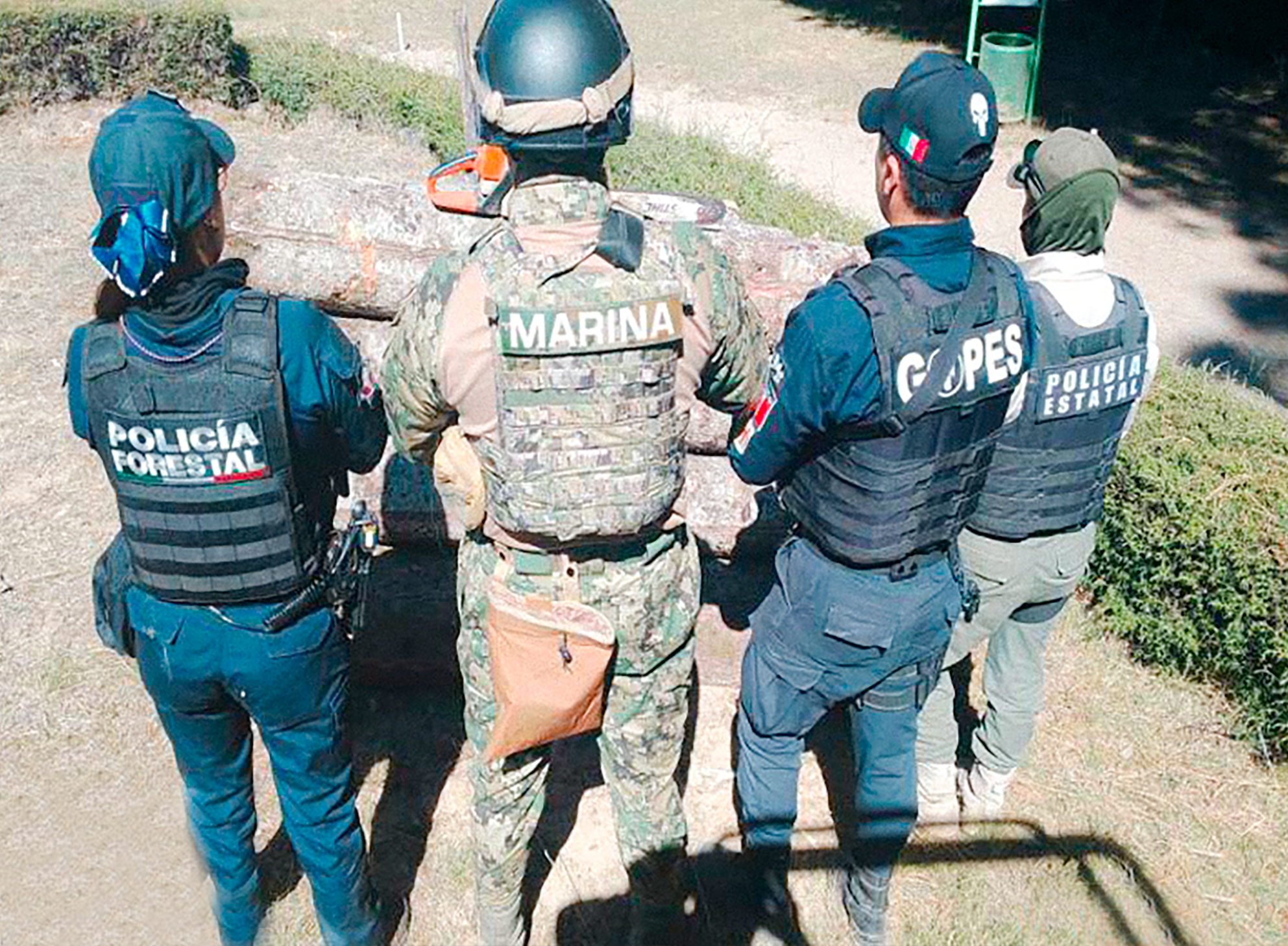 Con operativo interestatal fueron asegurados más de 90 troncos de madera