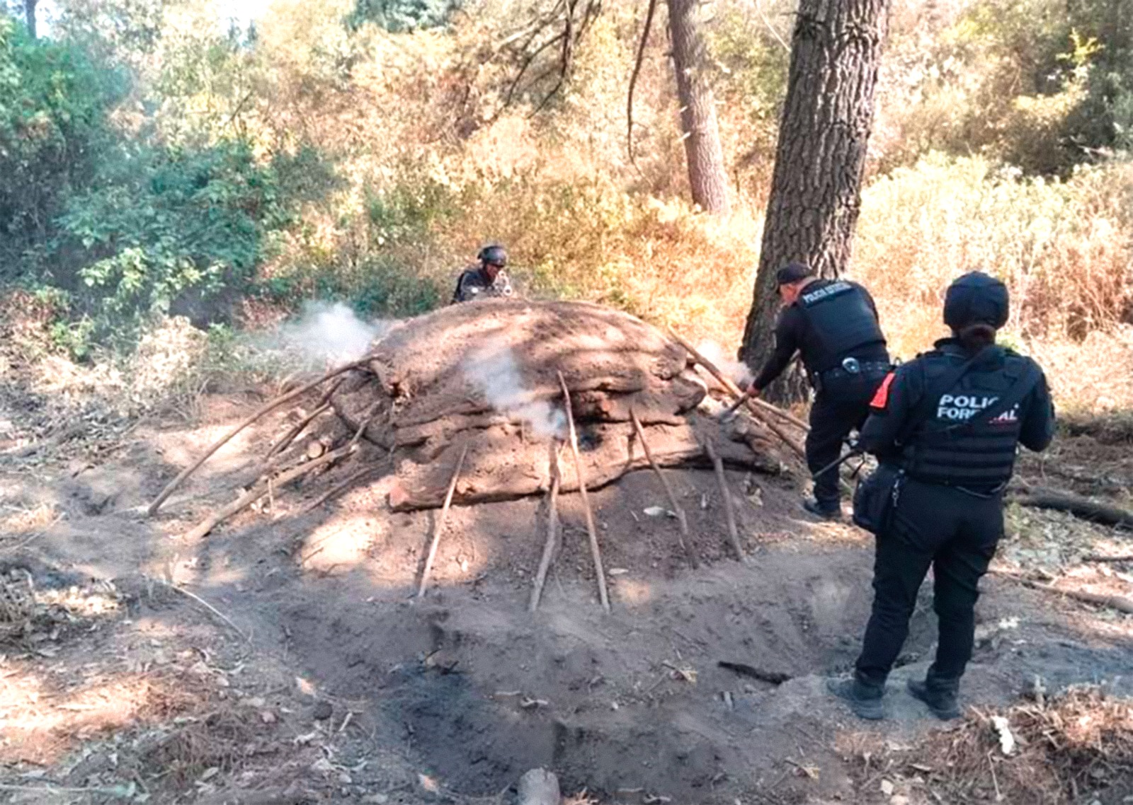 Elimina Policía Forestal seis hornos clandestinos para procesar madera  