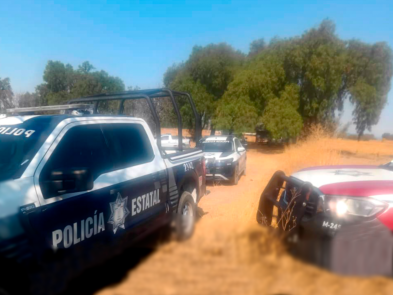 Frustran fuerzas de seguridad robo de vehículo en General Felipe Ángeles 