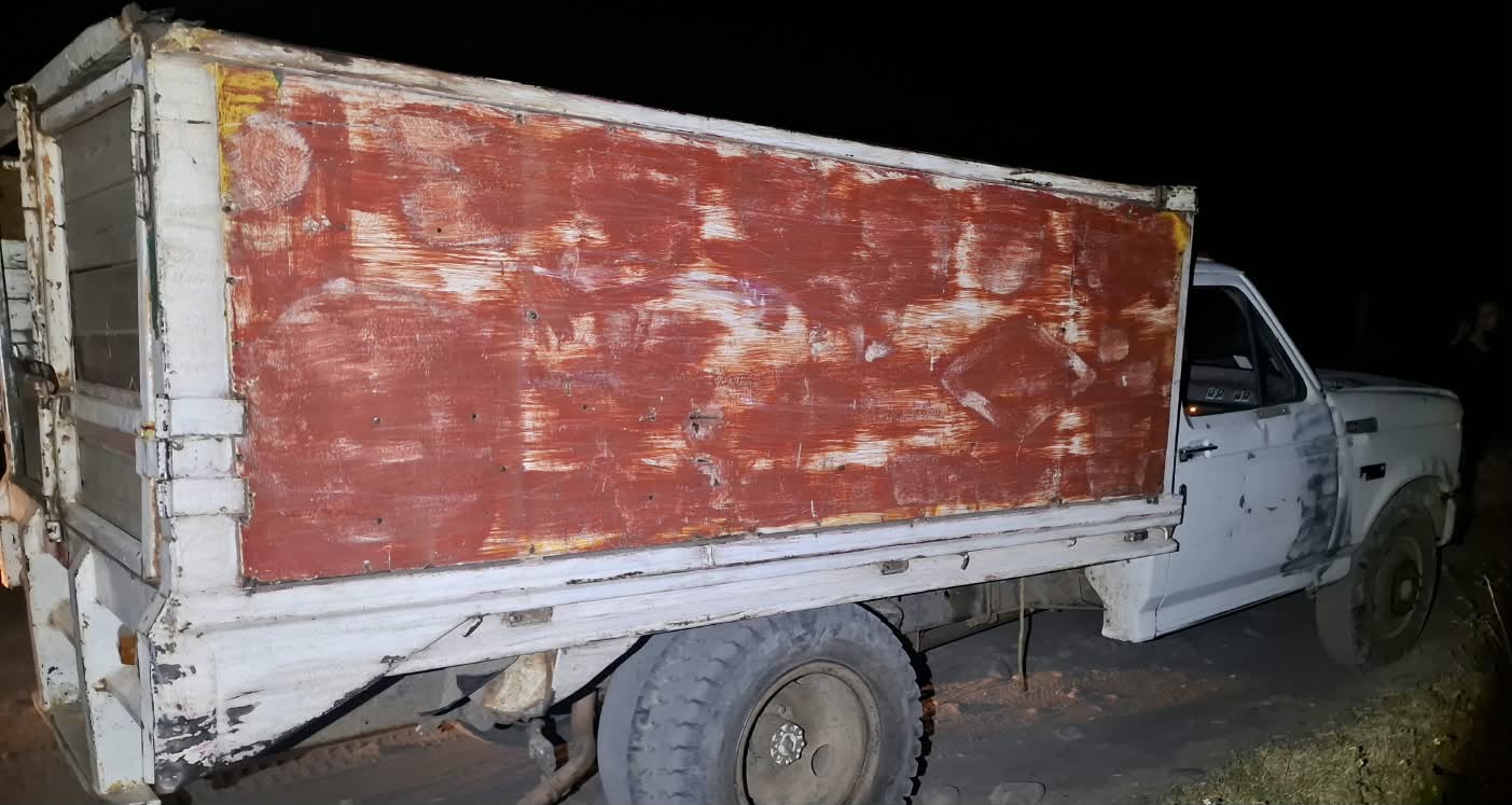 Recupera Policía Estatal 165 ejemplares de oyamel
