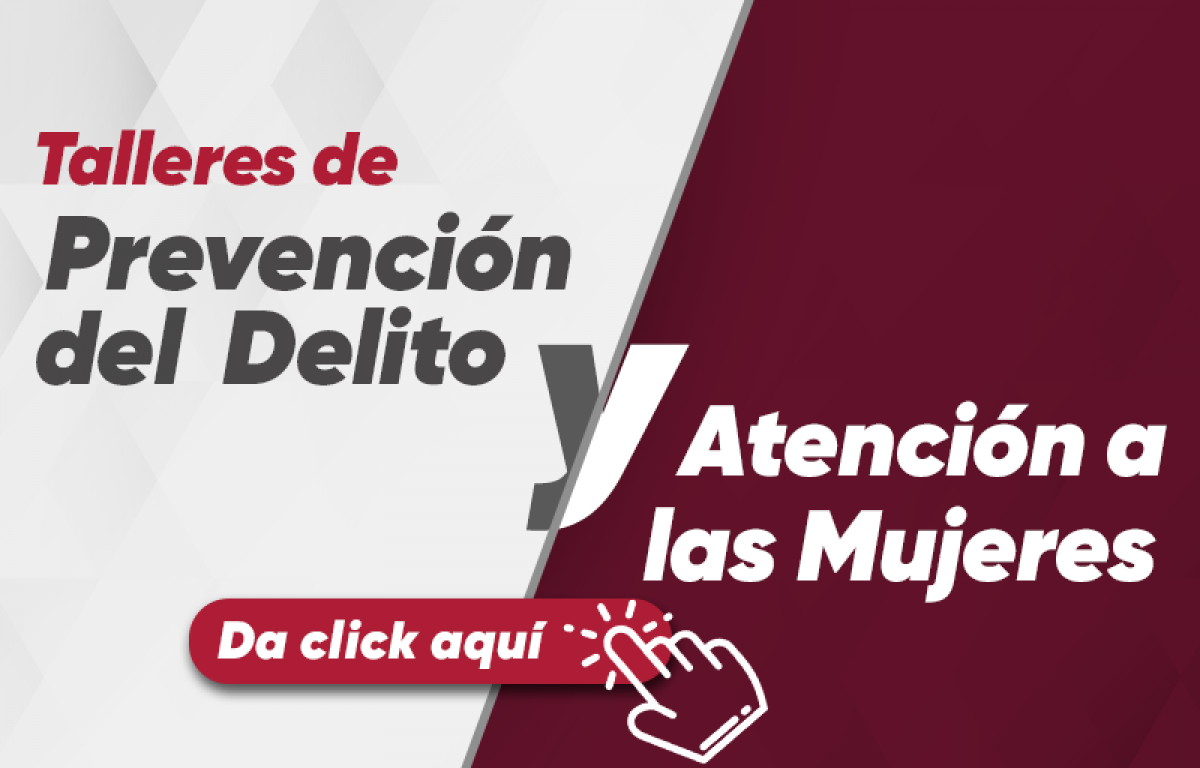 Consulta nuestros catálogos