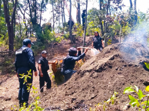 Inhabilita SSP hornos para la deshidratación ilegal de madera