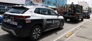 Con 210 operativos interinstitucionales, fueron detenidas 87 personas: SSP