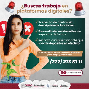 Emite SSP recomendaciones ante ofertas de empleo falsas en plataformas digitales