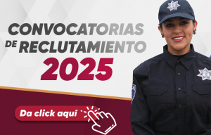 Convocatorias 2025