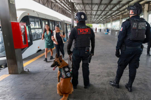 En los primeros días de septiembre, 91 personas fueron detenidas: SSP